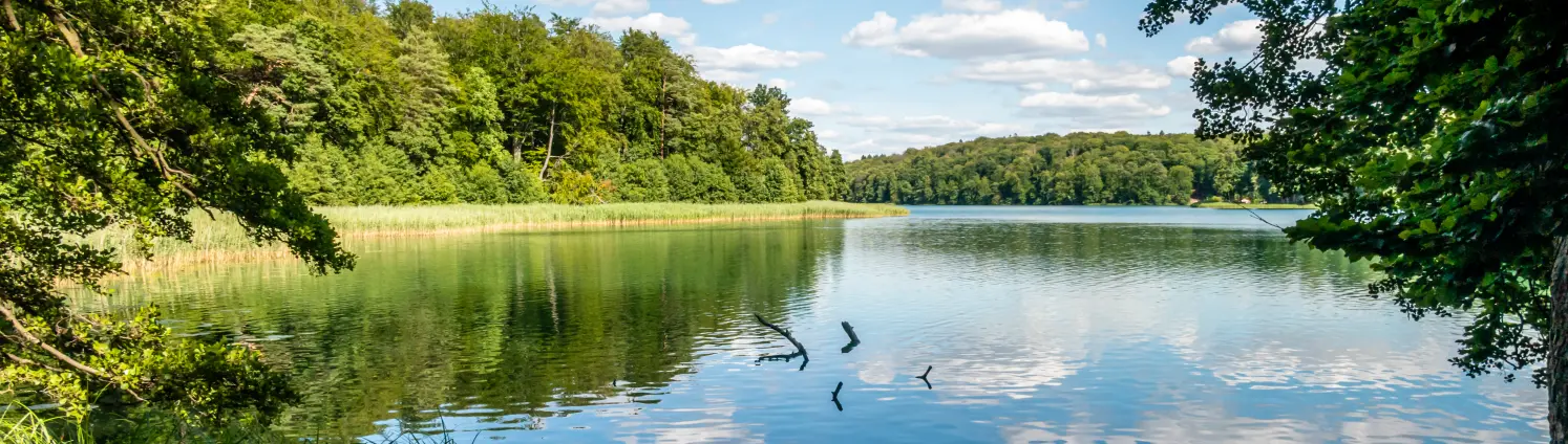 Liepnitzsee in Brandenburg im Sommer