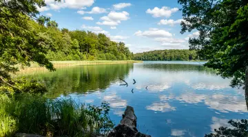 Liepnitzsee in Brandenburg im Sommer