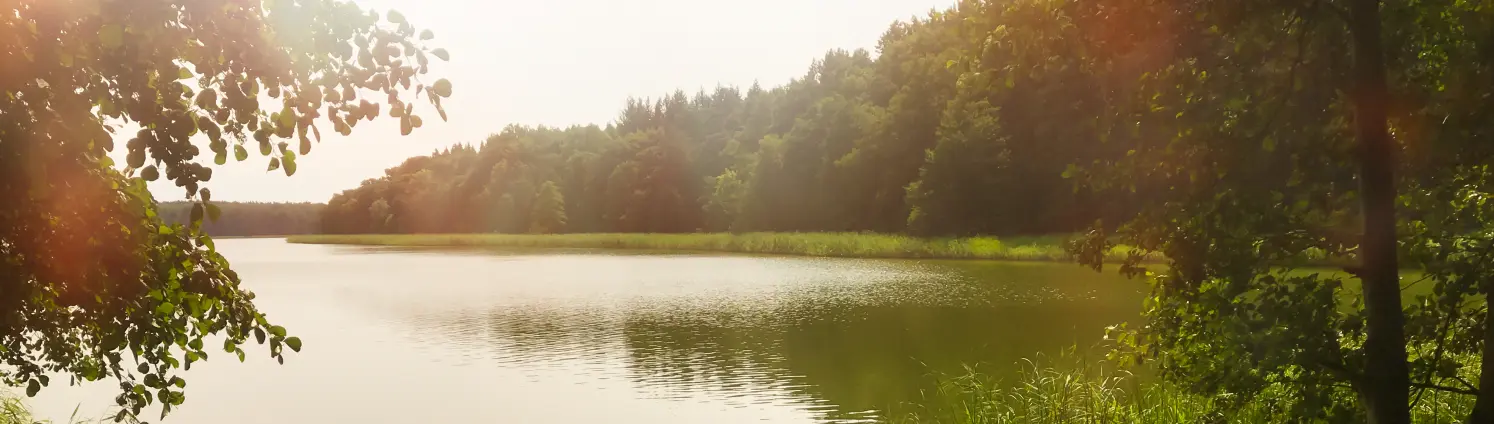 Ein See in bewaldeter Umgebung, am Rand sind zwei Kanus angeleint