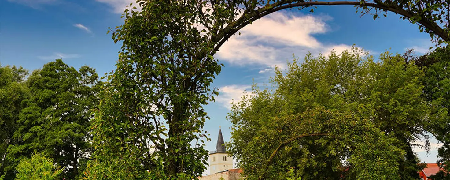 Landschaftspark, Altstadt von Beelitz