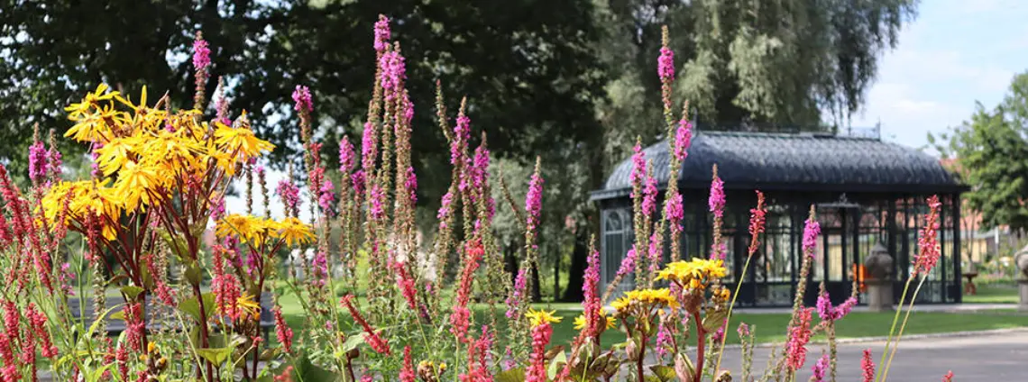 Ein Beet aus bunten Blumen im Vordergrund, im Hintergrund ein dunkler Pavillon