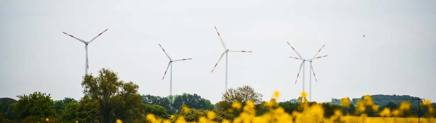 Windräder vor grauem Himmel, im Vordergrund ein gelbes Rapsfeld