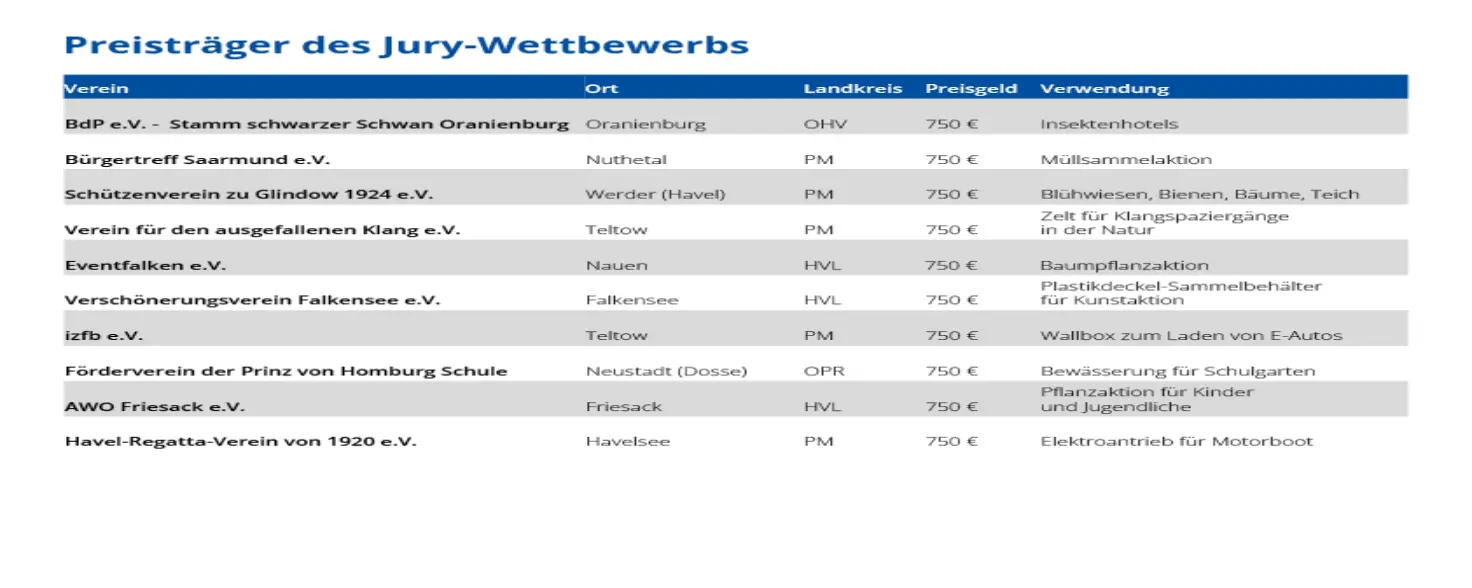 Tabelle über die Preisträger des Jury-Wettbewerbs der EMB VereinsEnergie 2023