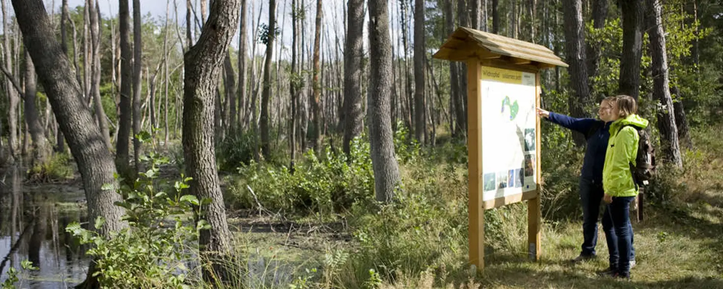 Zwei Personen stehen vor einer Wandertafel im Wald