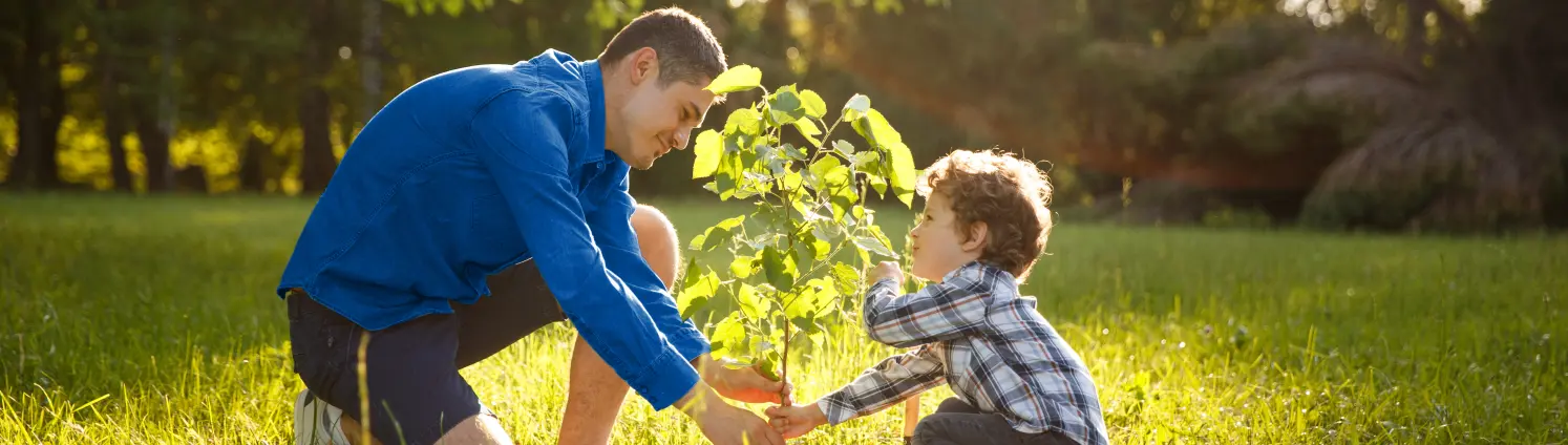 Ein Mann und sein Sohn pflanzen einen Baum