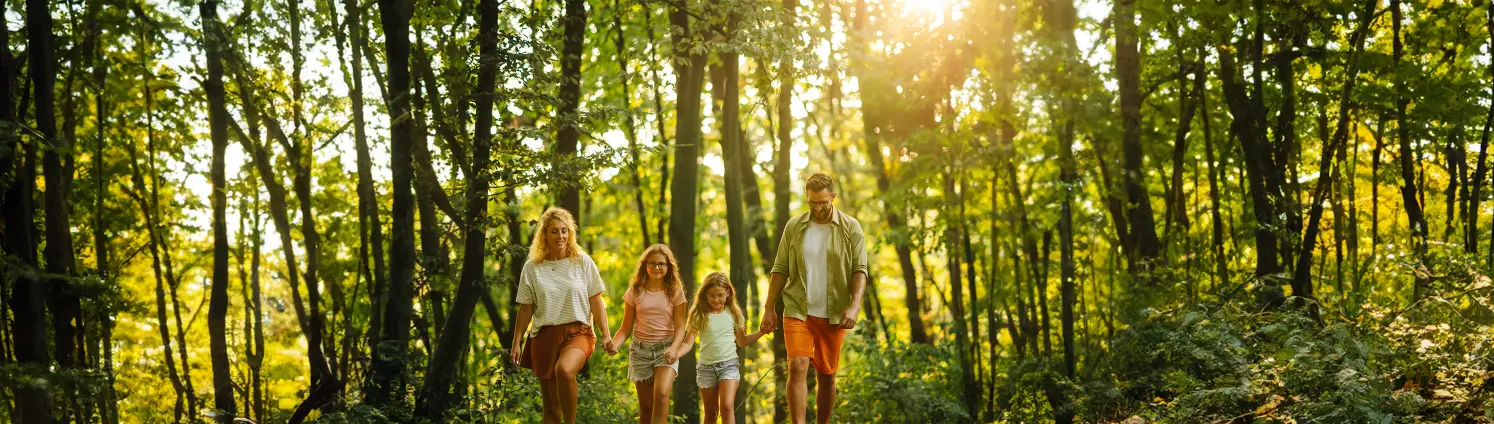 Mutter, Vater und zwei Töchter gehen in einem grünen Wald spazieren